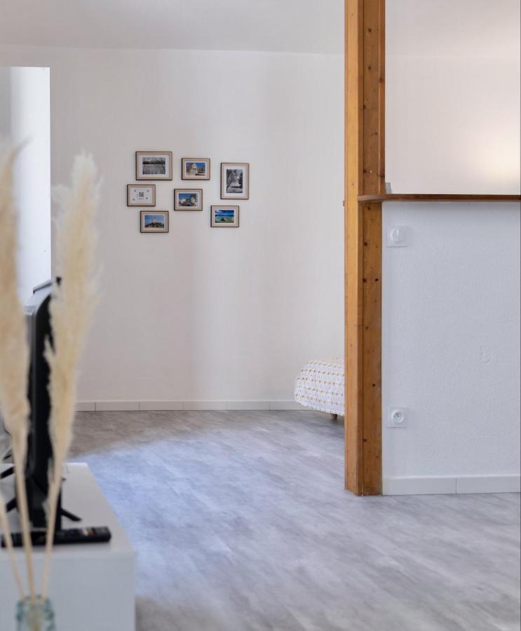 Vesoul Centre Historique Apartment Luaran gambar